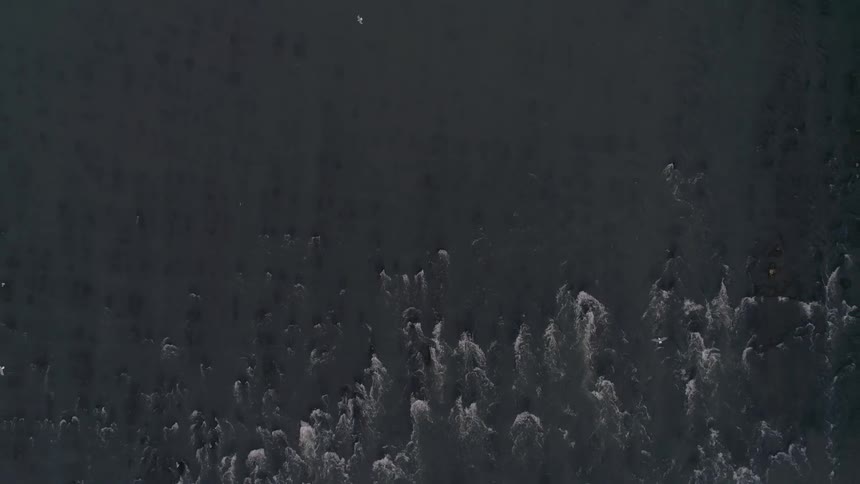 Birds flying over a fast moving river