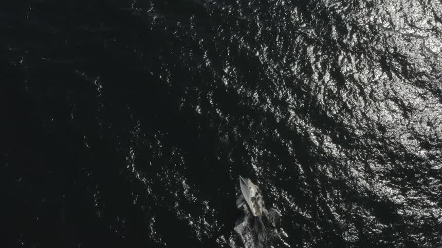 Sail boat cuts through ocean