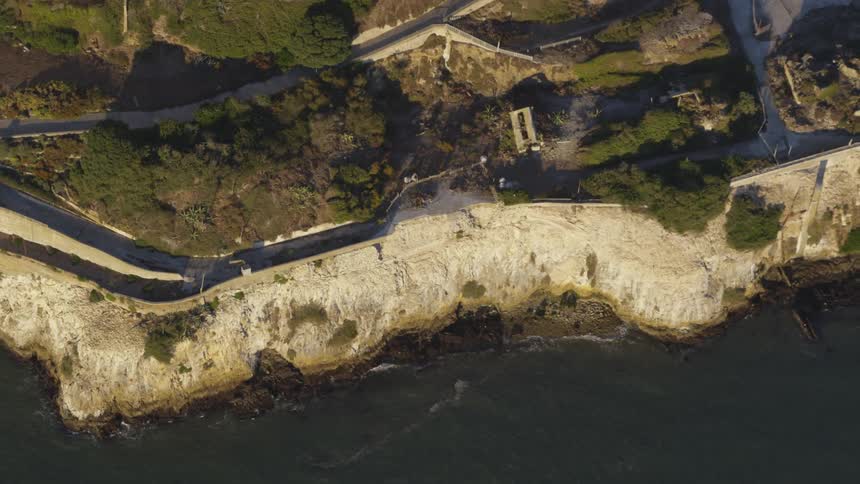 Birds flying along cliffs next to the ocean