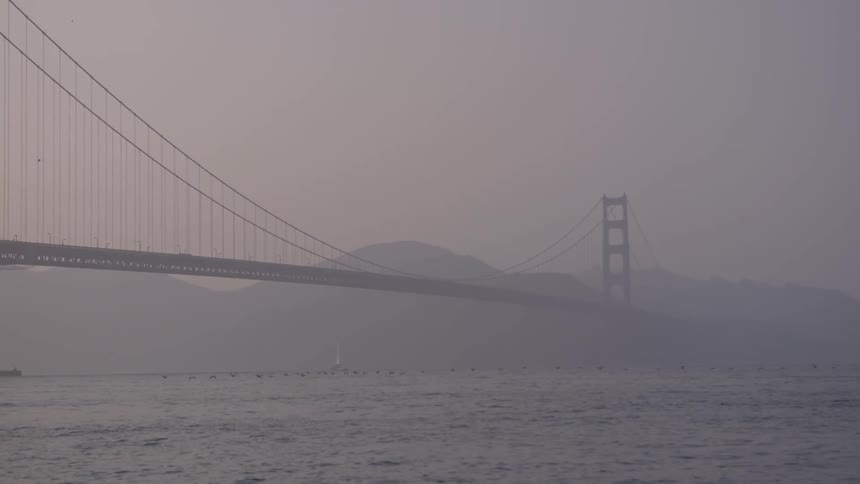 Bridge over water in the fog with birds flying near the water
