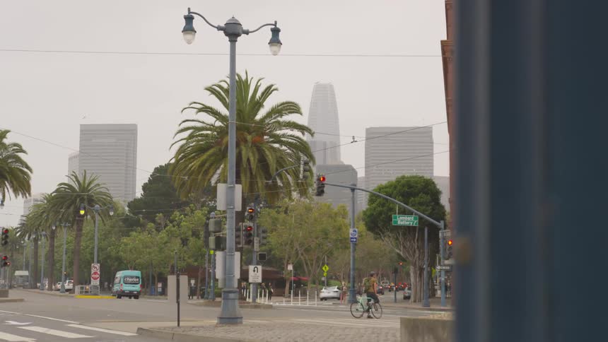 Palm trees lining an urban street full of traffic
