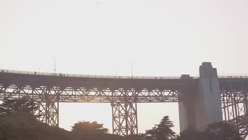 A bridge with people and vehicles over trees