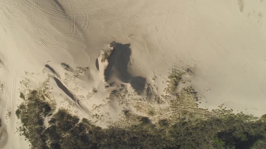 A patch of healthy green plants and trees gives way to a dry and arid desert landscape that is crossed by countless vehicle tracks in the sand