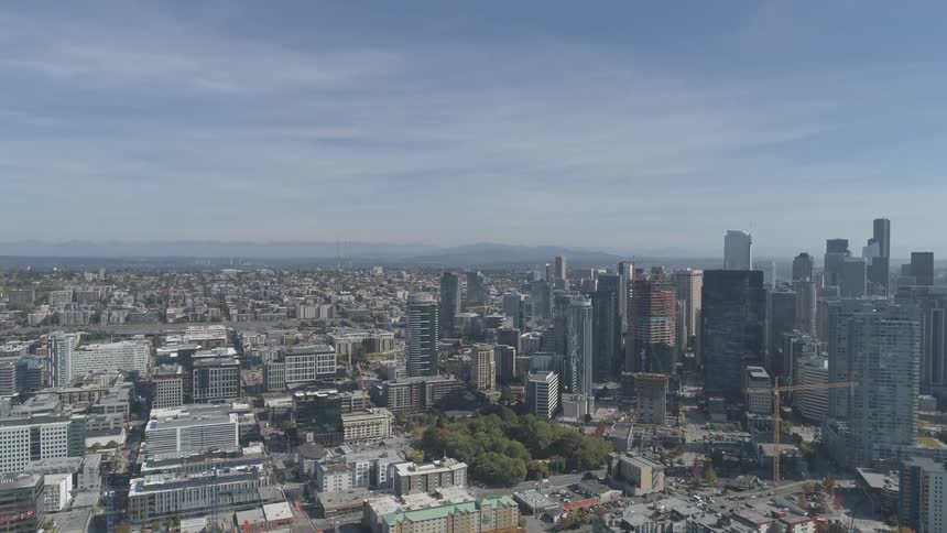 Skyscrapers stand tall above city streets in a city skyline