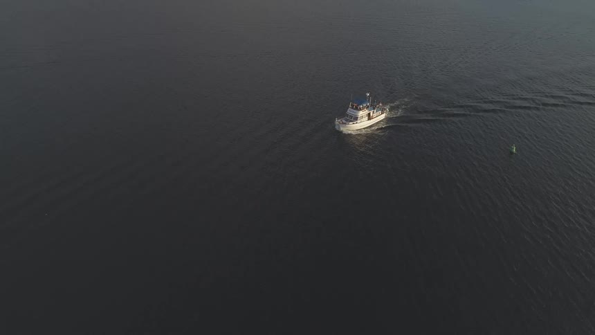A boat is in the water