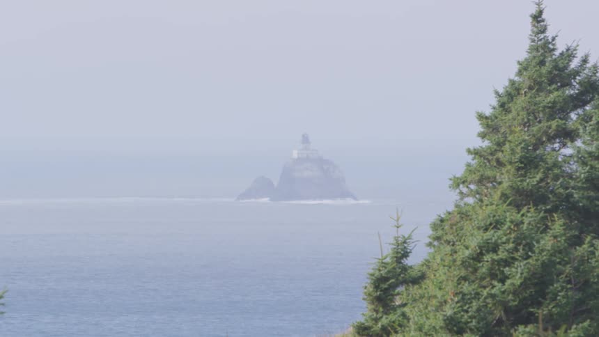 A small island is seen in the water behind a thick evergreen tree on a foggy day