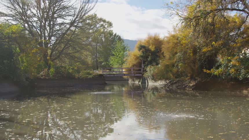 A bridge sits over a small pond with trees surrounding it and a mountain lies in the distance on a cloudy fall day