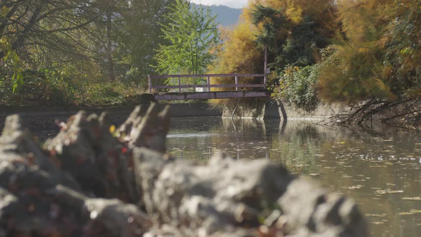 A bridge sits over the creek
