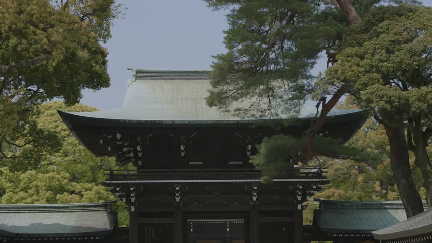 A large house sits before a forest on a cloudy day