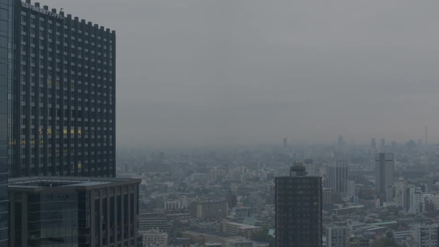 A large city has a single bird flying on a cloudy day