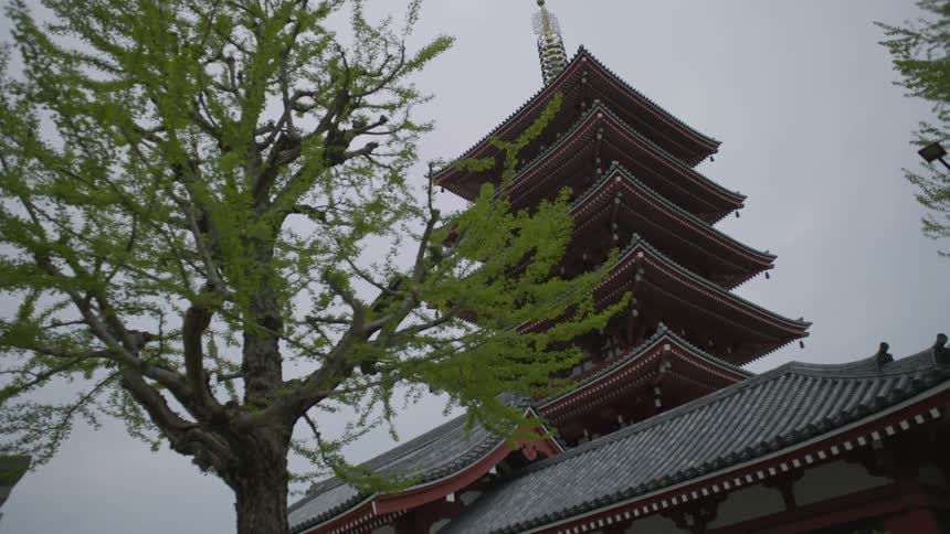 An asian building towers overhead
