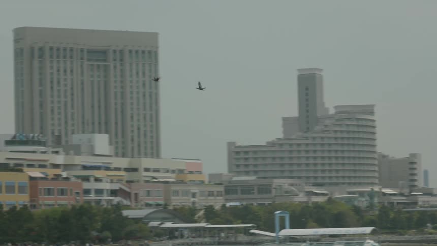 A pair of birds fly over the water