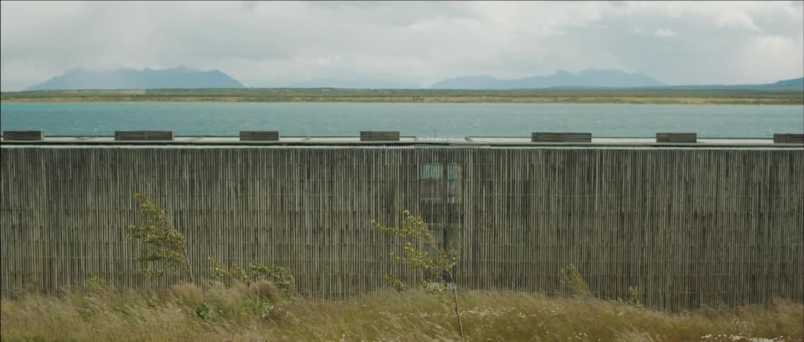 Grass blowing in the wind with a lake in the background