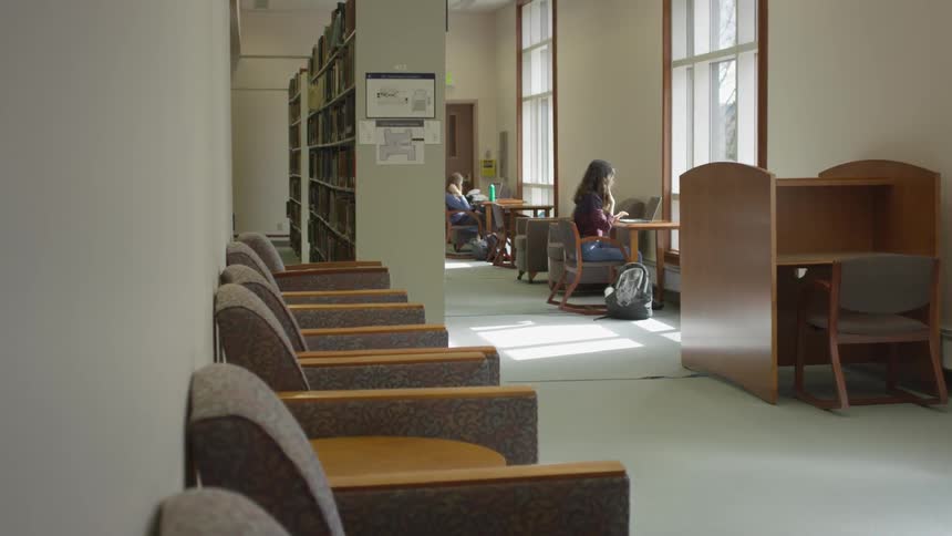 Woman sits at a desk working on a computer in the library