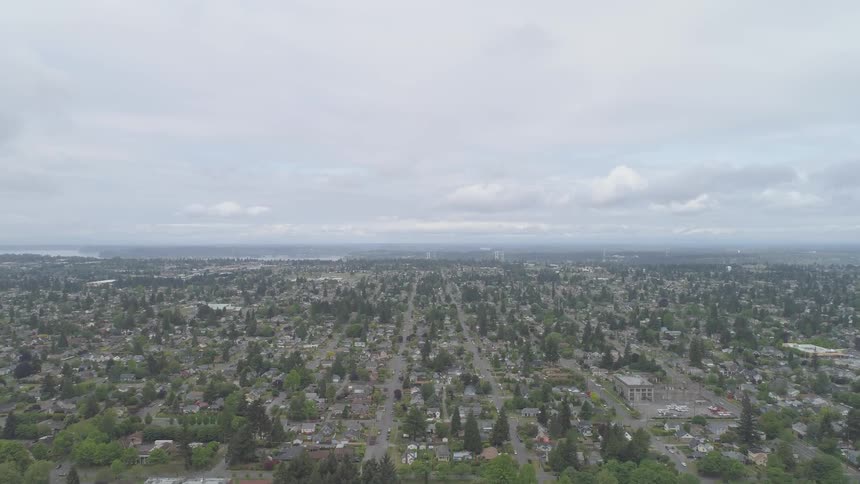 Trees are covering the suburban area