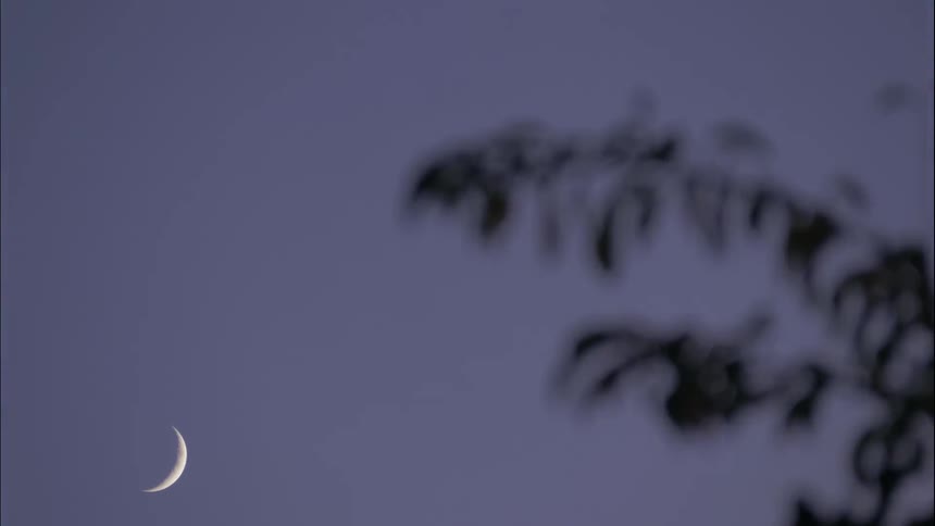 The moon setting in the dark sky