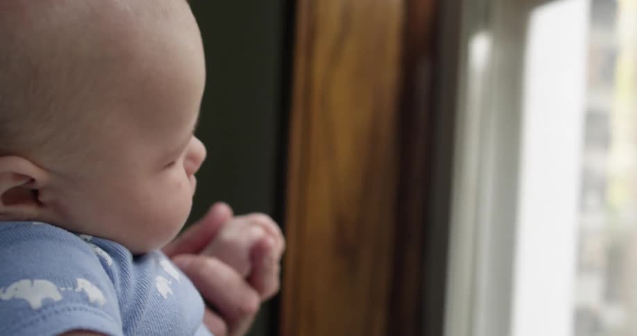 A baby looking out of a window