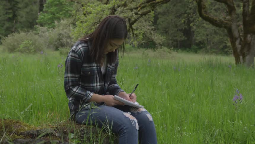 Teenage girl sits on a stump in a meadow writing in a notebook