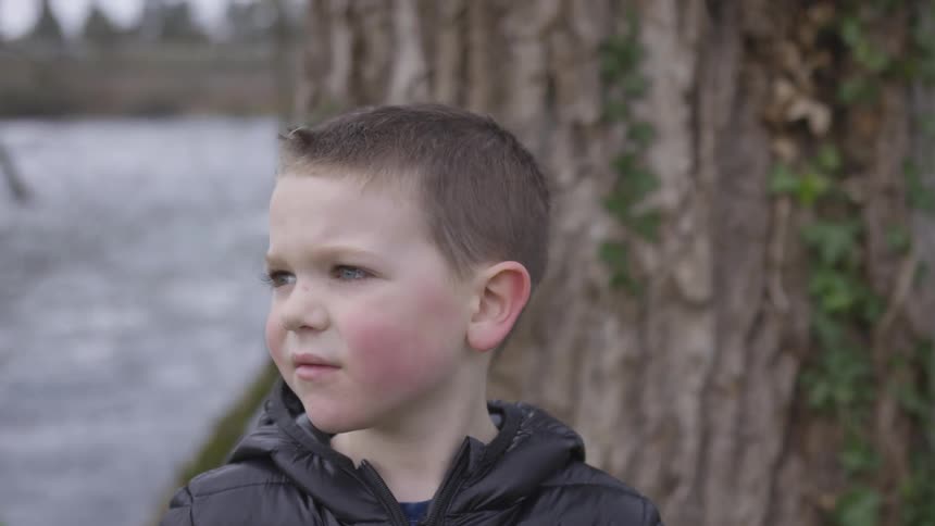 A young boy in a black coat stand next to a large tree