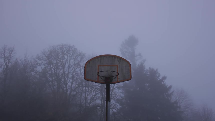 A dilapidated outdoor basketball hoop is seen standing before a thicket of tall trees in very foggy conditions