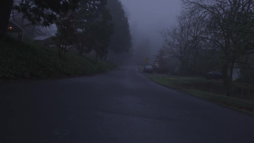 A road on a dark and foggy day