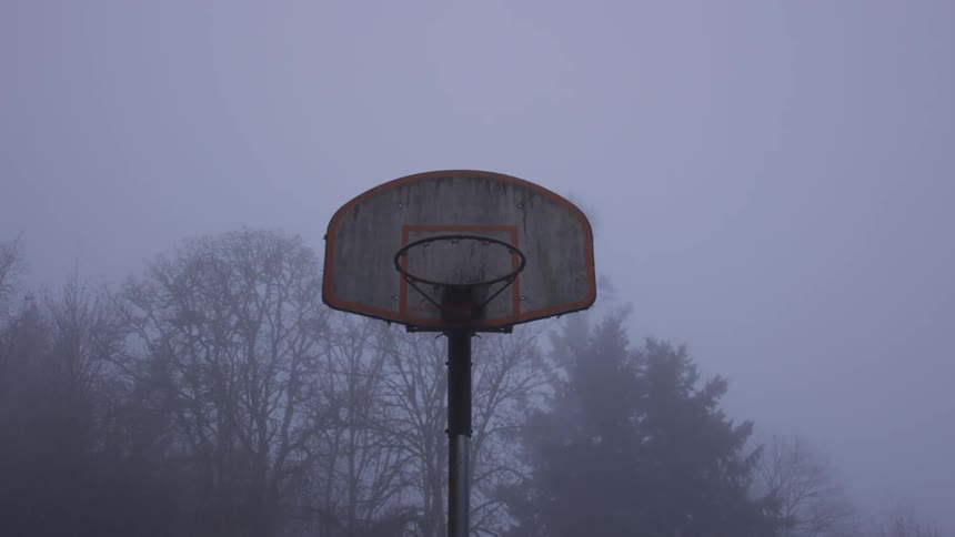 A basketball post and hoop outside near trees