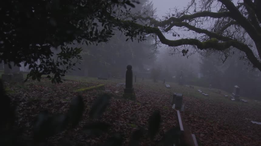 A graveyard in the fog covered in fallen leaves