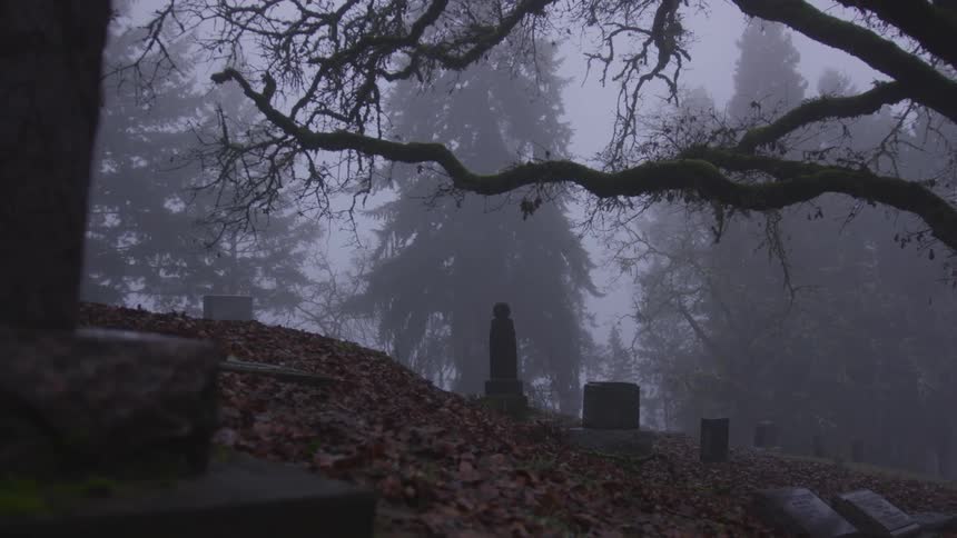 A person wearing a cloak standing in a cemetery