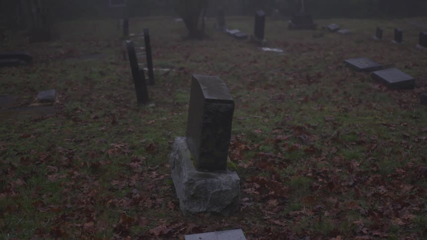 A cemetery with leaves on the ground and graves