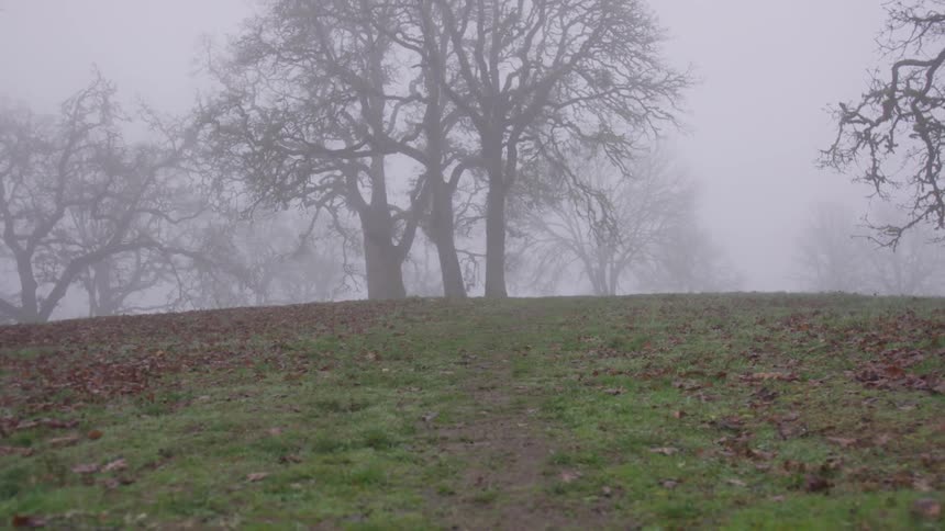 Camera going up a path towards a foggy hilltop