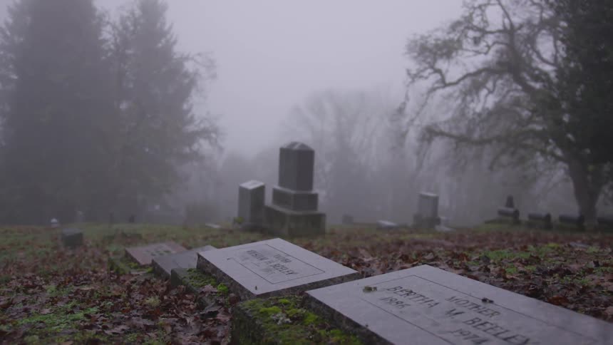 A cemetery sits in a foggy forest