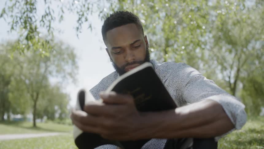 A man reading a book under the shade of trees in a park
