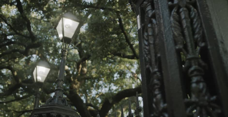 A wrought iron black fence with lighting near trees