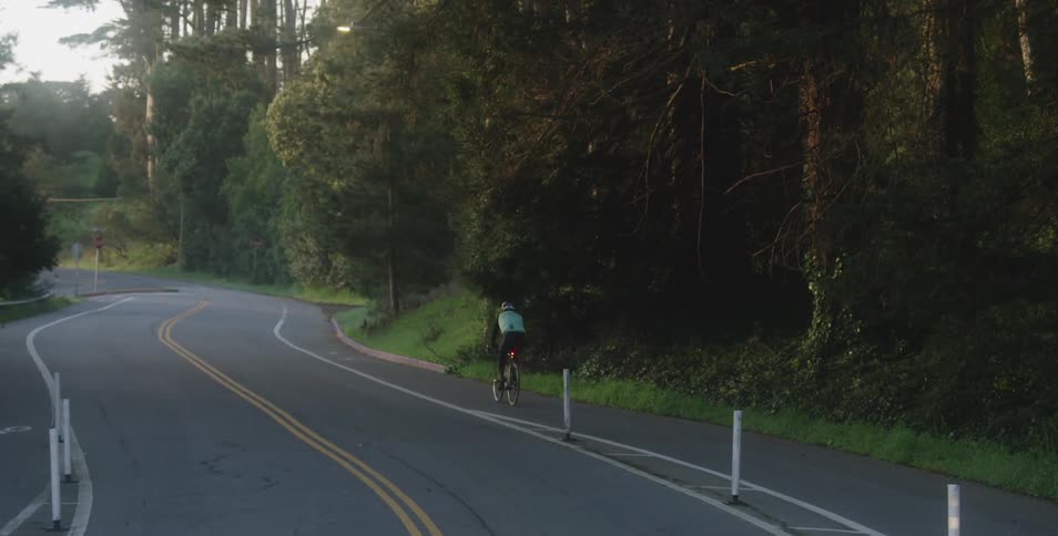 Bicyclist travels down the edge of the highway near the trees