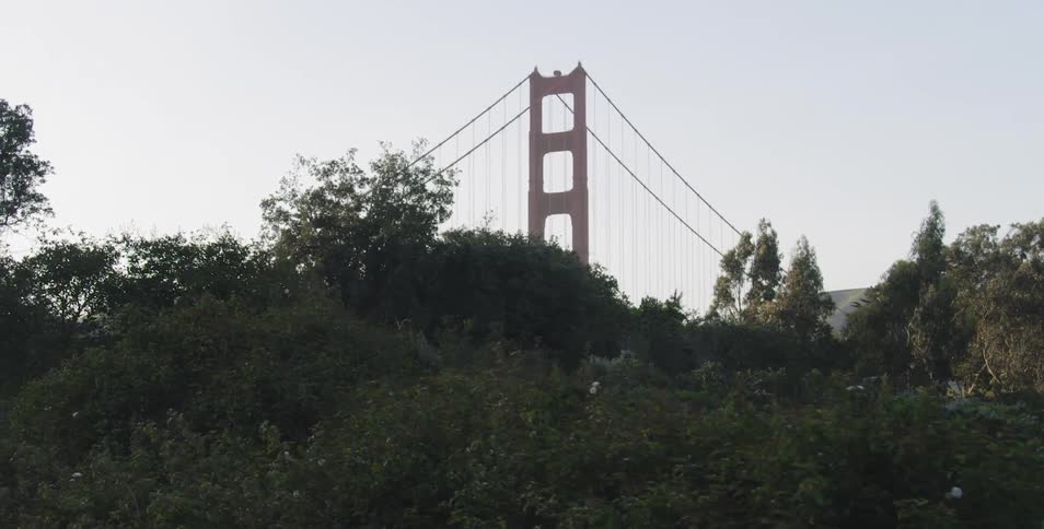 A suspension bridge near a wooded area