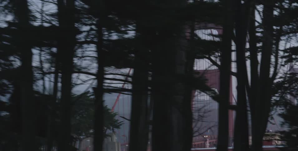 View of golden gate bridge from behind a row of trees