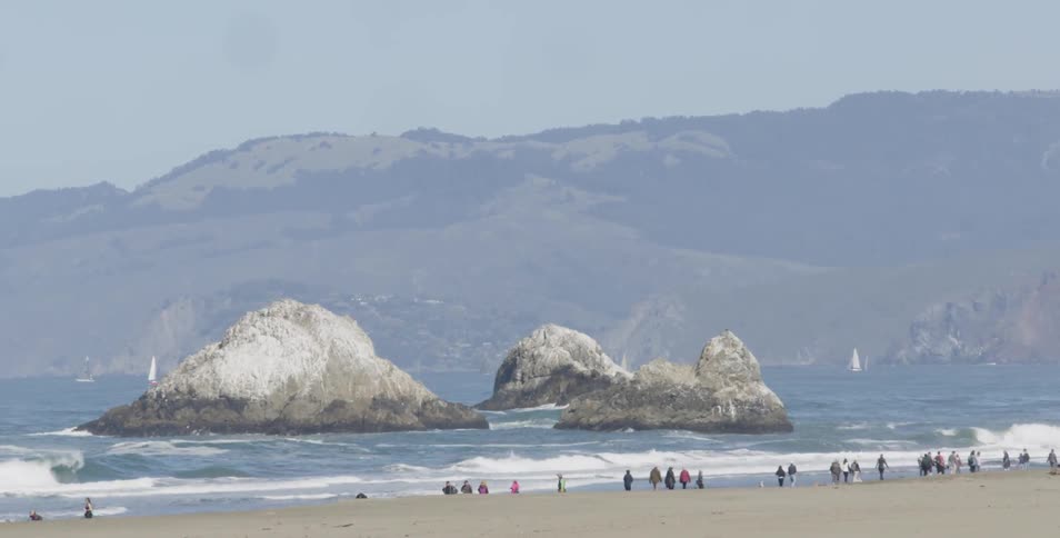 People walking on the shoreline as waves crash in on foggy day on the coast