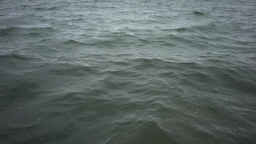 Waves in an open body of water