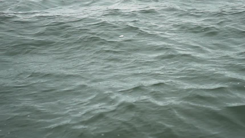 Small waves in the ocean make foam by daytime
