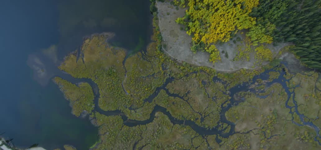 An estuary flows far below us with a forest off to the side