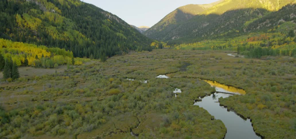 Shrubs grow in a lake surrounded by mountains