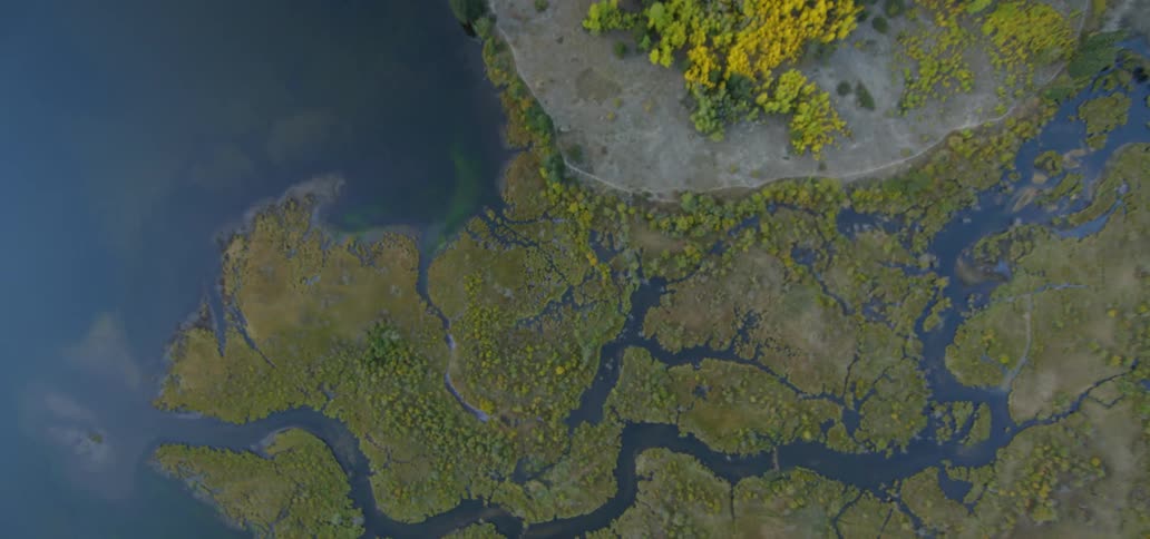 The ocean water cuts some jagged inlets into an area of lush green wetlands