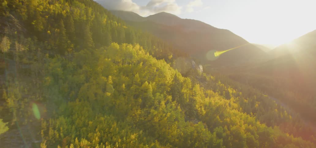 Aerial view of mountains and forest