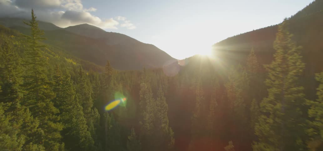 Range of mountains with trees while the sun goes down