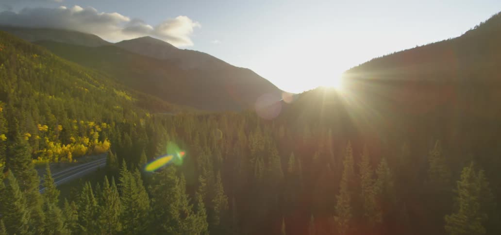 An aerial view of a forest near mountains
