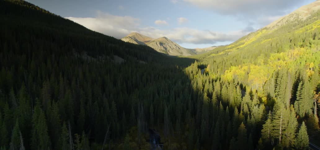 A valley unfolds before us with trees going up a mountain slope on both sides of the valley