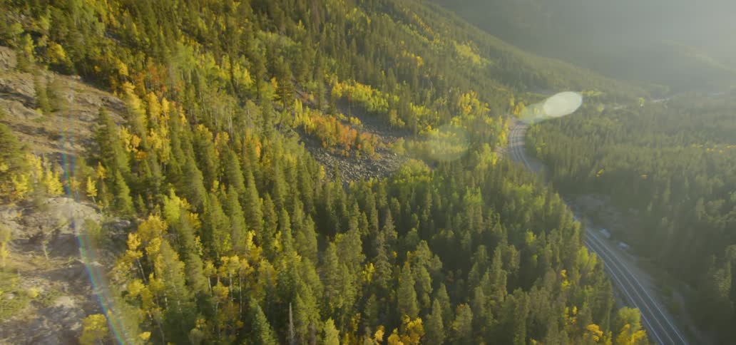 A road winds through a mountain forest on a sunny day