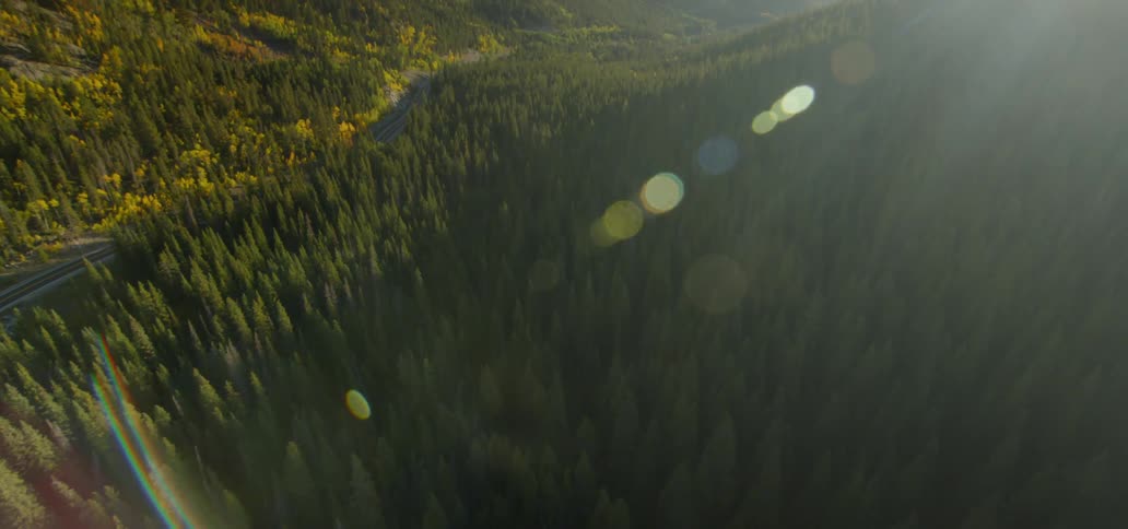 The sun shines down on hills covered with trees separated by a road