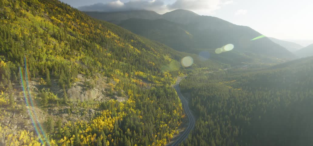 A road running through a forested mountain rain during the day