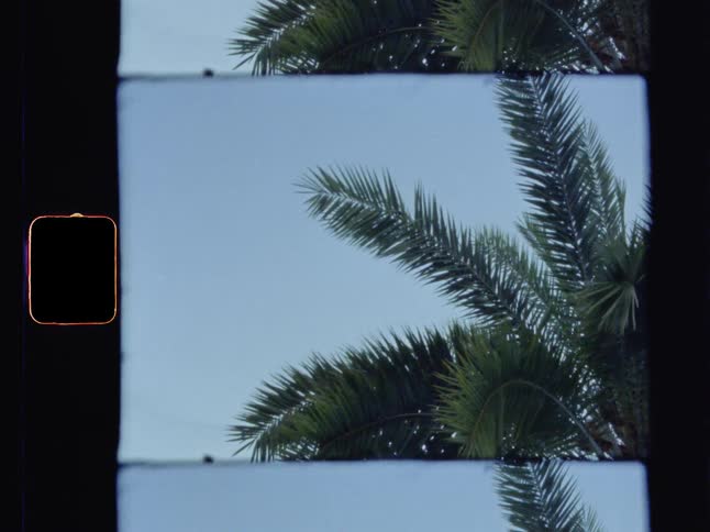 A palm tree blows gently in the wind in a vintage video